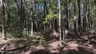 6033 Homestead Road, Elm City, NC 27822 — lot, Elm City, NC, photo 18 of 42: IMG_9316
