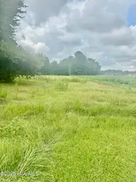353 Best Road, Whiteville, NC 28472 — lot, Whiteville, NC, photo 10 of 10: IMG_1239
