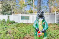 2409 Turtle Bay Drive, New Bern, NC 28562 — lot in Olde Towne, New Bern, NC, photo 16 of 21: 2409 Turtle Bay Drive