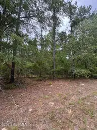 0 1 Nc Highway 210 Road, Currie, NC 28435 — lot, Currie, NC, photo 8 of 10