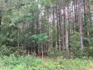 Lot # 33 33 33 Pine Crest Road, Bath, NC 27808 — lot in Carolina Shores, Bath, NC, photo 6 of 7: IMG_8547