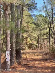 116 8 Garbacon Drive, Beaufort, NC 28516 — lot in Merrimon Bay, Beaufort, NC, photo 4 of 13: IMG_9268