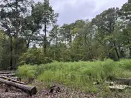124 34, Blounts Creek, NC 27814 — lot in Crystal Beach, Blounts Creek, NC, photo 4 of 13: IMG_2487