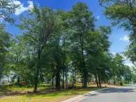 3627 208 White Cliffs Drive, Castle Hayne, NC 28429 — waterfront lot in River Bluffs, Castle Hayne, NC, photo 3 of 46