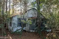 24324 Us Highway 17, Hampstead, NC 28443 — lot, Hampstead, NC, photo 8 of 19: ground-05