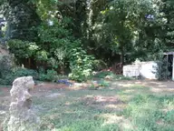 700 Jones Avenue, Kinston, NC 28501 — 3-bedroom home, Kinston, NC, photo 18 of 20: IMG_1412