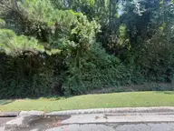 260 Sylvester Street, Richlands, NC 28574 — lot, Richlands, NC, photo 8 of 8