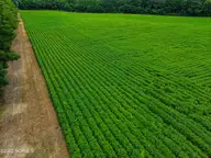 000 S Nc 581 Highway, Bailey, NC 27807 — waterfront lot in Old Fields, Bailey, NC, photo 8 of 53: DJI_0211_pro