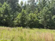 1419 Mable Spaulding Road, Whiteville, NC 28472 — lot, Whiteville, NC, photo 2 of 16: Ground View