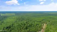 1 Lizzie Henry Road, Ivanhoe, NC 28447 — lot, Ivanhoe, NC, photo 15 of 15: lizziehenryrd_00014