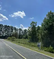 1923 Leonard Rich Road, Magnolia, NC 28453 — lot, Magnolia, NC, photo 8 of 14