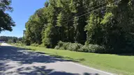 6033 Homestead Road, Elm City, NC 27822 — lot, Elm City, NC, photo 2 of 42: 2 - IMG_9308