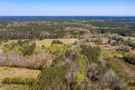 884 Cheshire Road, Rocky Point, NC 28457 — lot, Rocky Point, NC, photo 7 of 29: DJI_0129.jpg-SMALL