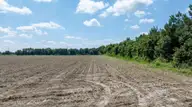 000 Oberry Road, Dudley, NC 28333 — lot, Dudley, NC, photo 14 of 38: 0OberryRd-DudleyNC-14