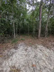 550 2R-4 Peyton Drive, Eagle Springs, NC 27242 — lot, Eagle Springs, NC, photo 7 of 8: PXL_20260707_210521032.MP