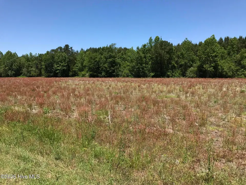 5680 4 Little Prong Road NW, Ash, NC 28420 — lot, Ash, NC, photo 1 of 4: ERS 1