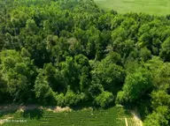 0 S Nc 111 Highway, Chinquapin, NC 28521 — lot, Chinquapin, NC, photo 17 of 20