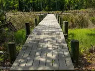 408 57 Tarpon Pointe Road, Bath, NC 27808 — waterfront lot in Carolina Shores, Bath, NC, photo 13 of 23: 408 Tarpon Hogslat