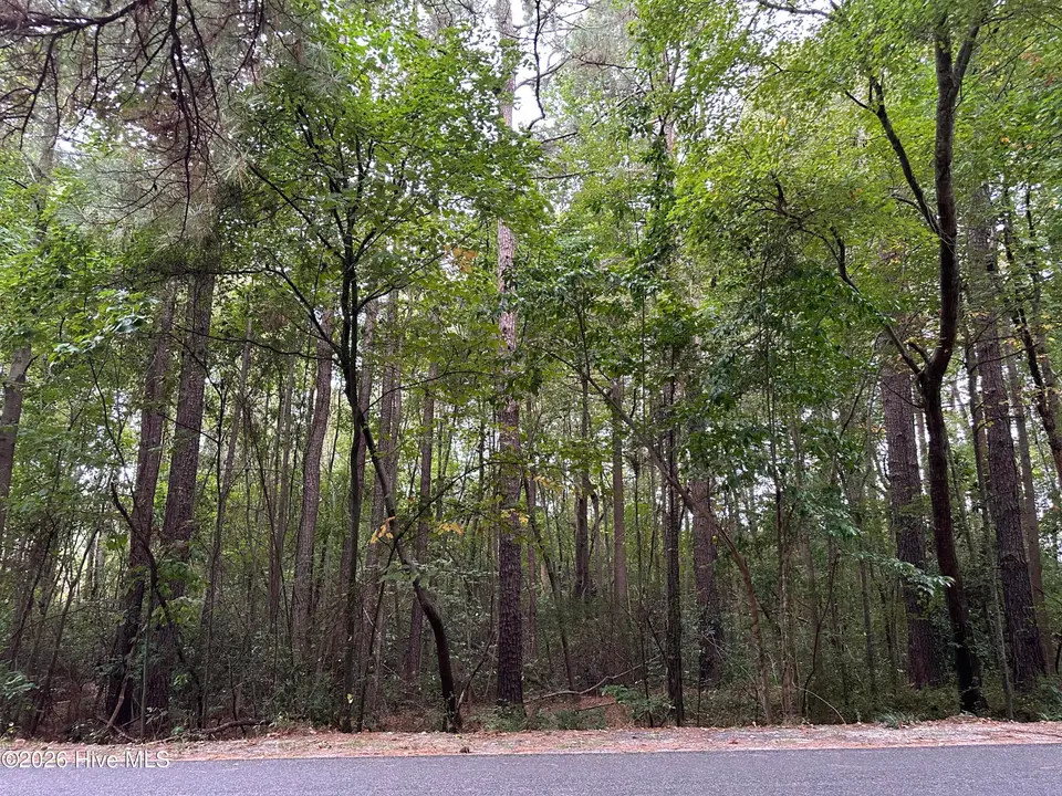 134 Bellhaven Drive, Carthage, NC 28327 — lot in Village at The Blue Farm, Carthage, NC, photo 1 of 4: IMG_6448