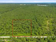 7604 Plantation Road, Wilmington, NC 28411 — lot in Greenview Ranches, Wilmington, NC, photo 2 of 10: IMG_9715