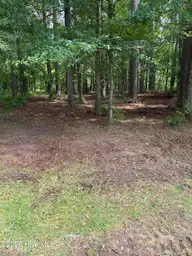 0 94 Winfield Lane, Pinetown, NC 27865 — waterfront lot in Winfield Estates, Pinetown, NC, photo 7 of 9: IMG_0575
