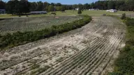0 Ward Road, Whitakers, NC 27891 — lot, Whitakers, NC, photo 14 of 27: DJI_0510