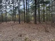 27 1209 Birkdale Way, Pinehurst, NC 28374 — lot in Forest Creek, Pinehurst, NC, photo 18 of 20: IMG_0988 Medium