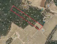 Lot 9 Point Caswell Road, Willard, NC 28478 — lot, Willard, NC, photo 6 of 12