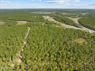 Lot222&232 Plantation Road, Wilmington, NC 28411 — lot in Greenview Ranches, Wilmington, NC, photo 7 of 12: 7-web-or-mls-DJI_0593