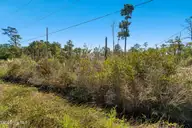 166 Fulcher Landing Drive, Stacy, NC 28581 — waterfront lot, Stacy, NC, photo 16 of 22: Waterfront vacant lot in Stacy