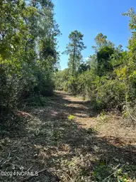 326 Sand Ridge Road, Hubert, NC 28539 — lot, Hubert, NC, photo 13 of 13