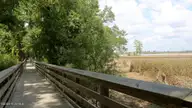 1038 Goose Crossing Road Lot 182, Northwest, NC 28451 — 5-bedroom home in Saunders Village, Northwest, NC, photo 9 of 28