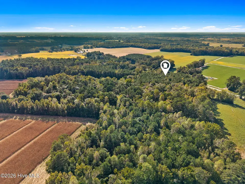 2473 Peacock Road, Whiteville, NC 28472 — lot, Whiteville, NC, photo 1 of 8: 7-web-or-mls-2-print-CamMediallc.com (6