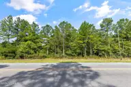 1 Lizzie Henry Road, Ivanhoe, NC 28447 — lot, Ivanhoe, NC, photo 2 of 15: lizziehenryrd_00015