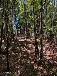 Lot 1 Dan Road, Robbins, NC 27325 — lot, Robbins, NC, photo 18 of 20