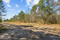 Lot222&232 Plantation Road, Wilmington, NC 28411 — lot in Greenview Ranches, Wilmington, NC, photo 9 of 12: 9-web-or-mls-DSC08709
