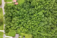 711 Lee Road, Maple Hill, NC 28454 — lot, Maple Hill, NC, photo 8 of 15