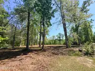 109/111 Barry Lane, Jacksonville, NC 28540 — waterfront lot in Oakhurst River, Jacksonville, NC, photo 4 of 24: IMG_8715 (1)