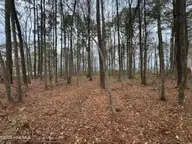 0 Lincoln Drive, Kenly, NC 27542 — lot in Englewood, Kenly, NC, photo 6 of 7: Photo Feb 06 2026, 3 26 51 PM