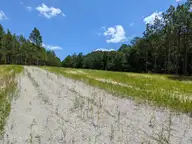 274 2R-1 Charles Road, Eagle Springs, NC 27242 — lot, Eagle Springs, NC, photo 6 of 6: PXL_20260731_170356110
