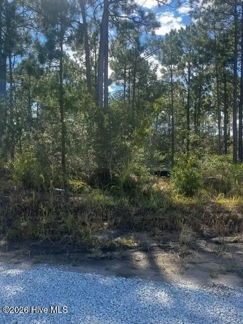 0 Penguin Place, Hampstead, NC 28443 — lot in Belvedere, Hampstead, NC, photo 1 of 1: Penguin Pl