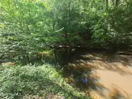 234 Circle Drive, Vass, NC 28394 — lot, Vass, NC, photo 4 of 10