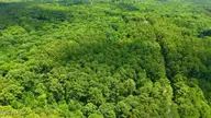109 5 Equestrian Lane, Carthage, NC 28327 — lot in Carolina Equest, Carthage, NC, photo 5 of 12: 5-web-or-mls-DJI_20260709142250_0634_D