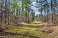 0 Nc-903, Stokes, NC 27884 — lot, Stokes, NC, photo 10 of 28: Stokes Tract 27
