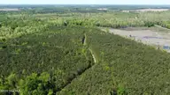Off Speights Chapel Road, Whitakers, NC 27891 — lot, Whitakers, NC, photo 8 of 57: DJI_0577