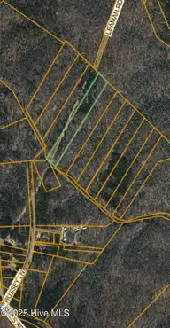 Lot 4 Leaman Road, Robbins, NC 27325 — lot, Robbins, NC, photo 6 of 7: leaman 4