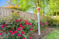 307 Forest Drive, La Grange, NC 28551 — 3-bedroom home in Eastwood, La Grange, NC, photo 24 of 29