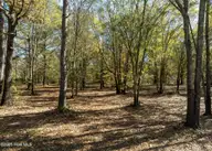 167 River Ridge Drive, Wallace, NC 28466 — waterfront lot in River Landing, Wallace, NC, photo 14 of 44