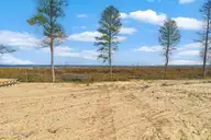 119 Cedarwood, Havelock, NC 28532 — waterfront lot in Neuse Point East, Havelock, NC, photo 3 of 14: Waterfront Lot in Neuse Point East-5