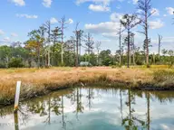 1592 Highway 70 E, Stacy, NC 28581 — waterfront lot, Stacy, NC, photo 6 of 33: Lot Photo